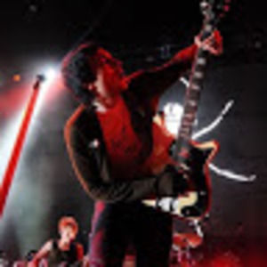 Meet your Posher, Frankie